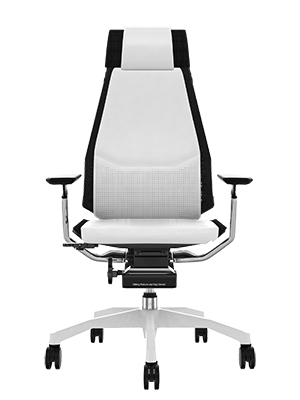 Ergohuman Classic